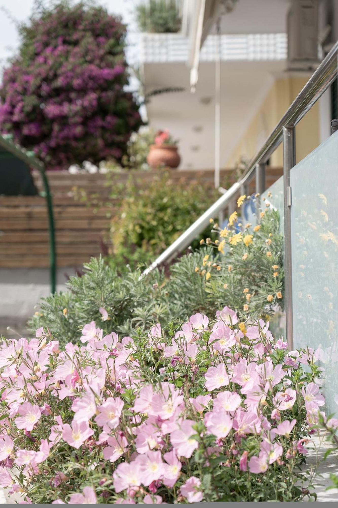 Captain'S Seafront Apartments Nydri (Lefkada) Exterior foto